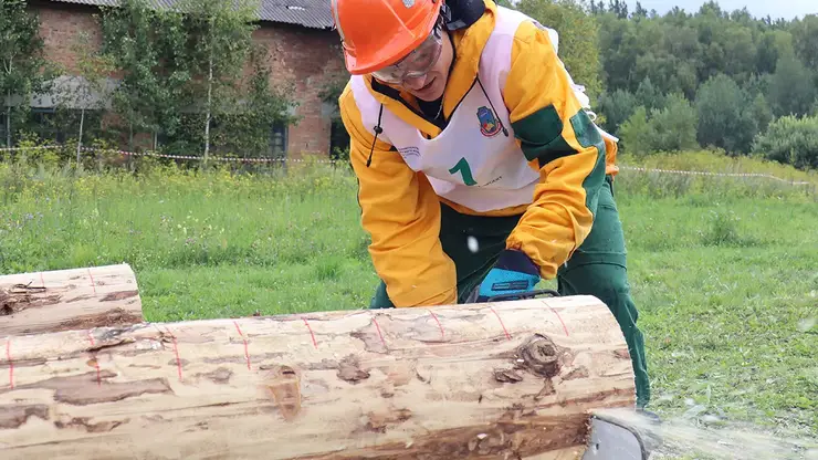 В Красноярском крае пройдет региональный этап конкурса на лучшего лесного пожарного