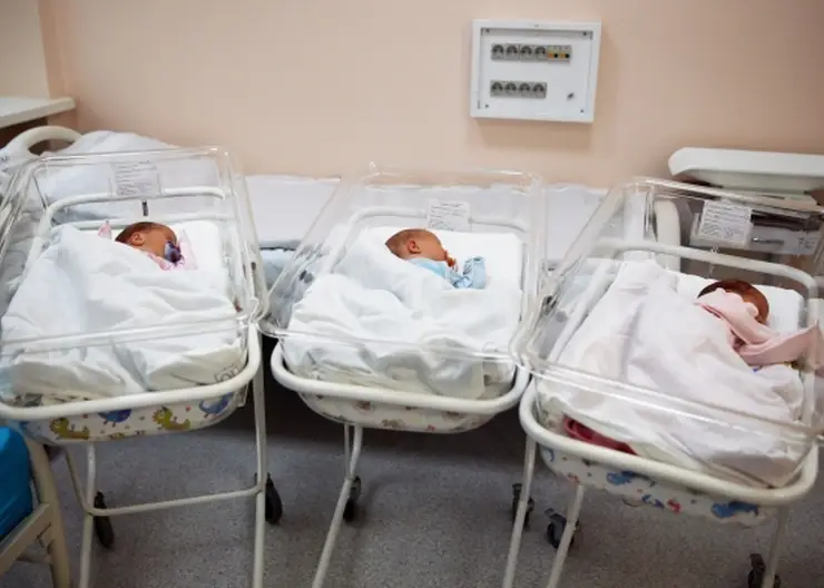 256 малышей родилось в Красноярске в первый осенний месяц