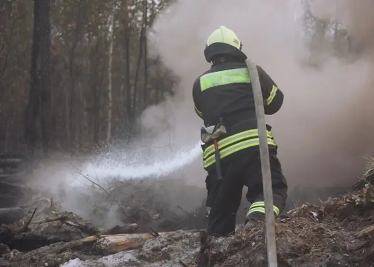 В Хабаровском крае подошел к концу пожароопасный сезон