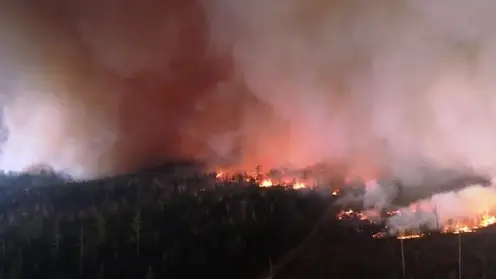 55 лесных пожаров действуют в Хабаровском крае