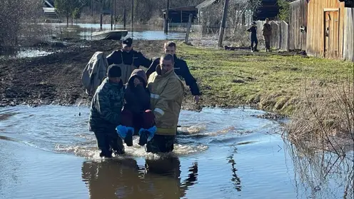 В Козульском районе Красноярского края полицейские помогли эвакуировать женщину из подтопленного дома