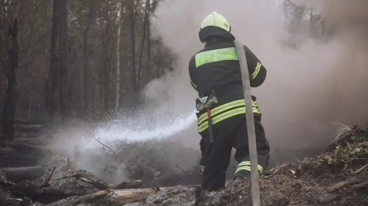 Режим ЧС ввели в Егорьевском районе Алтайского края из-за крупного пожара