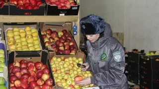 В Красноярский край с начала этого года ввезли более 20 тысяч тонн импортных фруктов и овощей