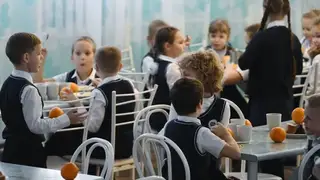 В Красноярске за организацию школьного питания будут отвечать две компании
