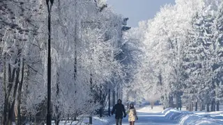 В Красноярском крае с 11 по 13 января ожидается похолодание до -55 градусов