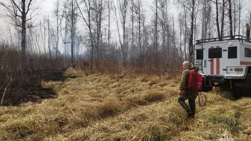 Жителей одной из деревень в Новосибирской области 9 мая эвакуировали из-за угрозы пожара