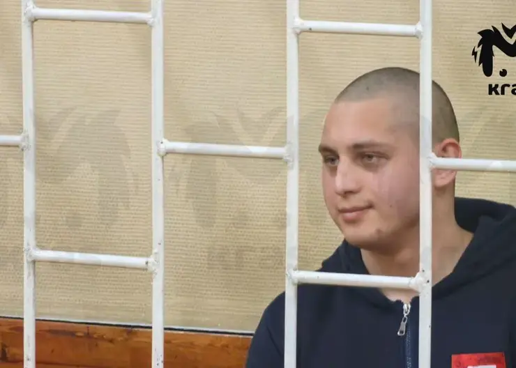 Убийцу 16-летней школьницы в Железногорске приговорили к 21 году строгого режима