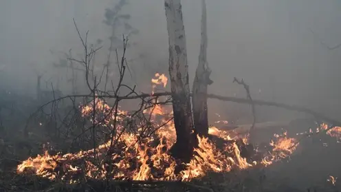 Введенный режим ЧС из-за лесных пожаров отменили в Томской области