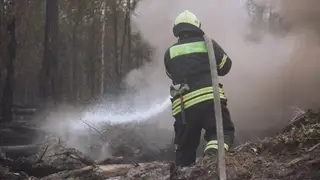 Ситуация с лесными пожарами в Красноярском крае стабилизировалась