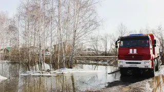 Число подтопленных из-за паводка домов в Омской области увеличилось до 69