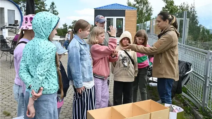 В Красноярске запустили новый сезон «Зеленой школы»