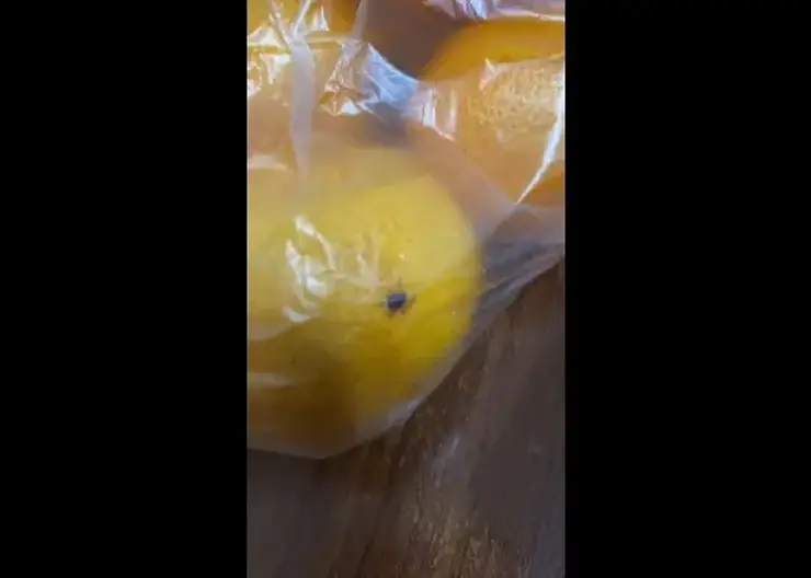 В Красноярске покупательница нашла живого клеща в пакете с мандаринами